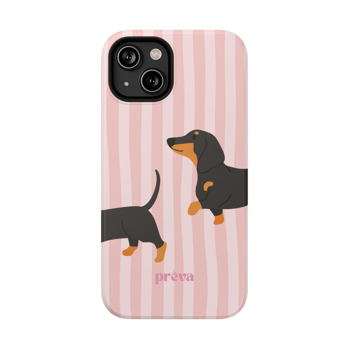 Dachshund Pink Stripes