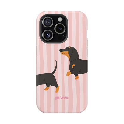 Dachshund Pink Stripes