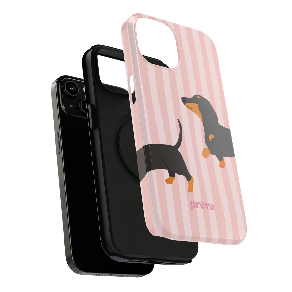 Dachshund Pink Stripes