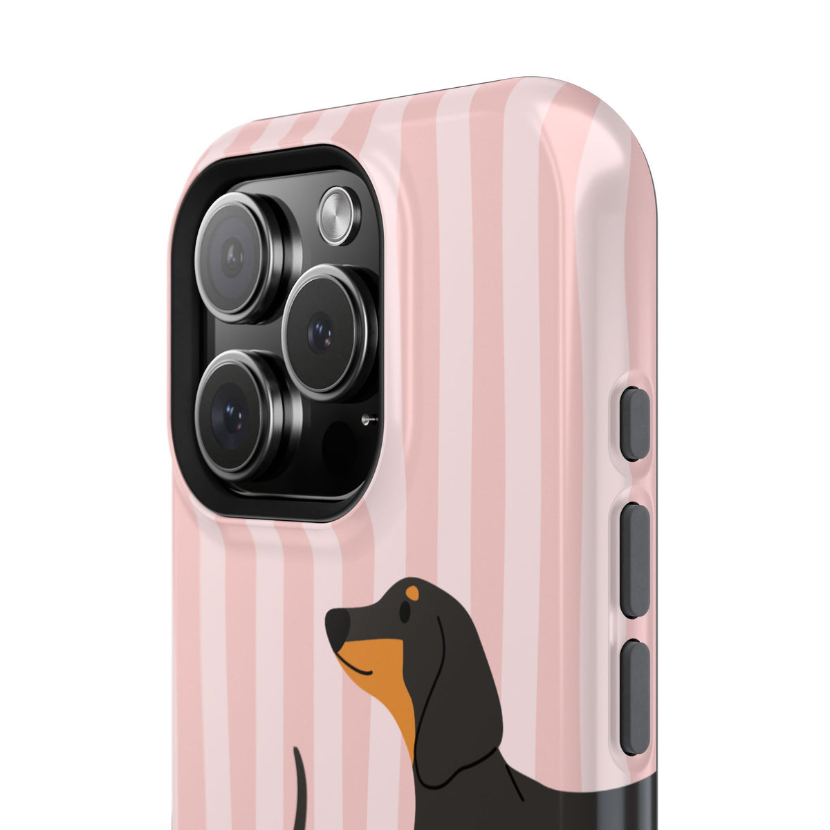 Dachshund Pink Stripes