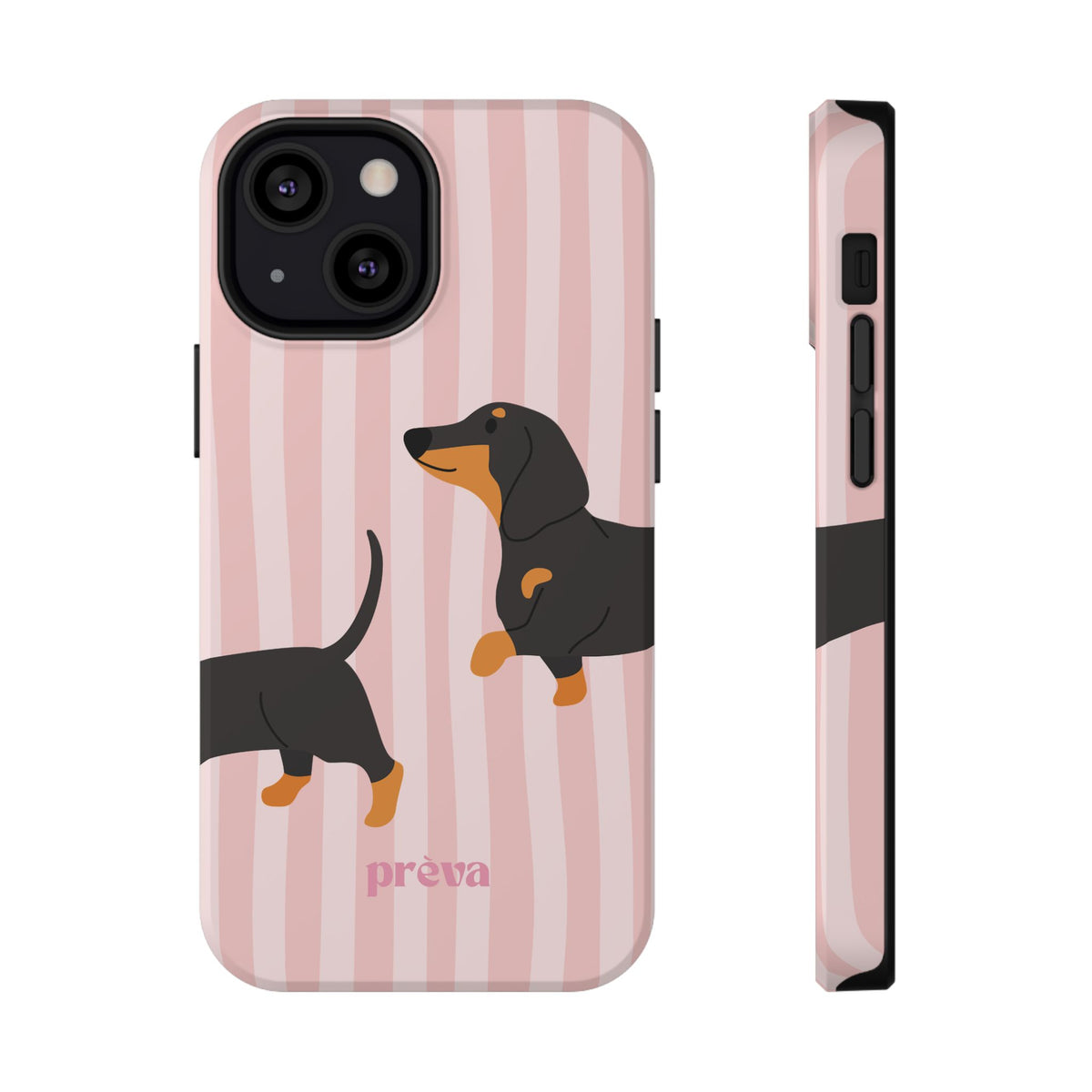 Dachshund Pink Stripes