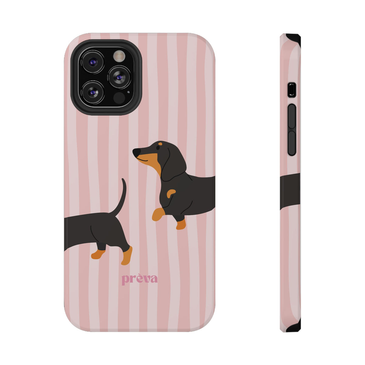 Dachshund Pink Stripes