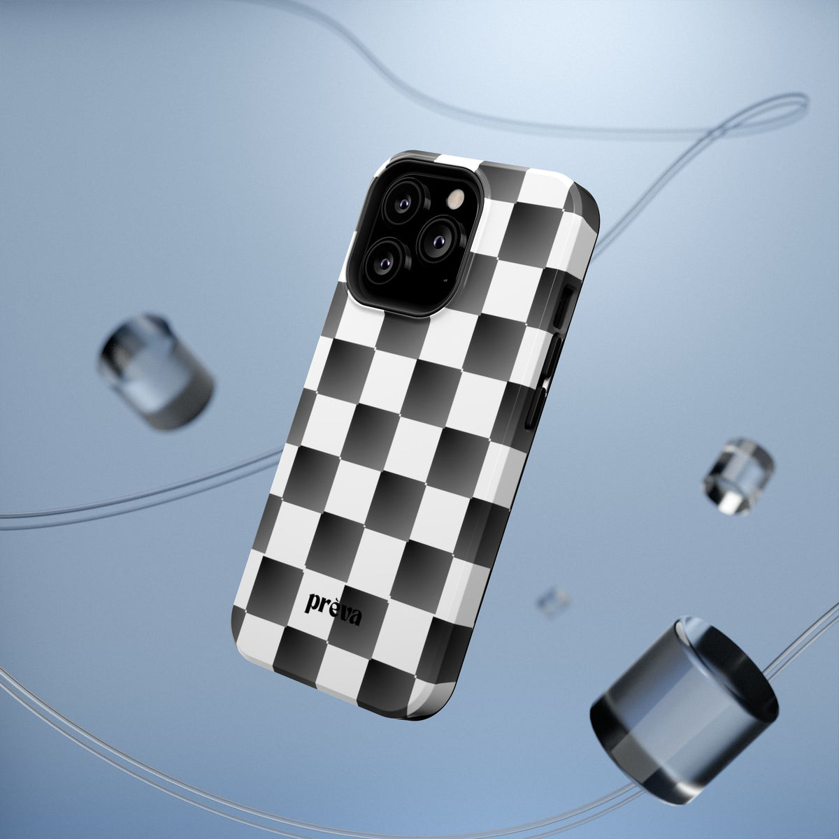 B&W Checkers Case