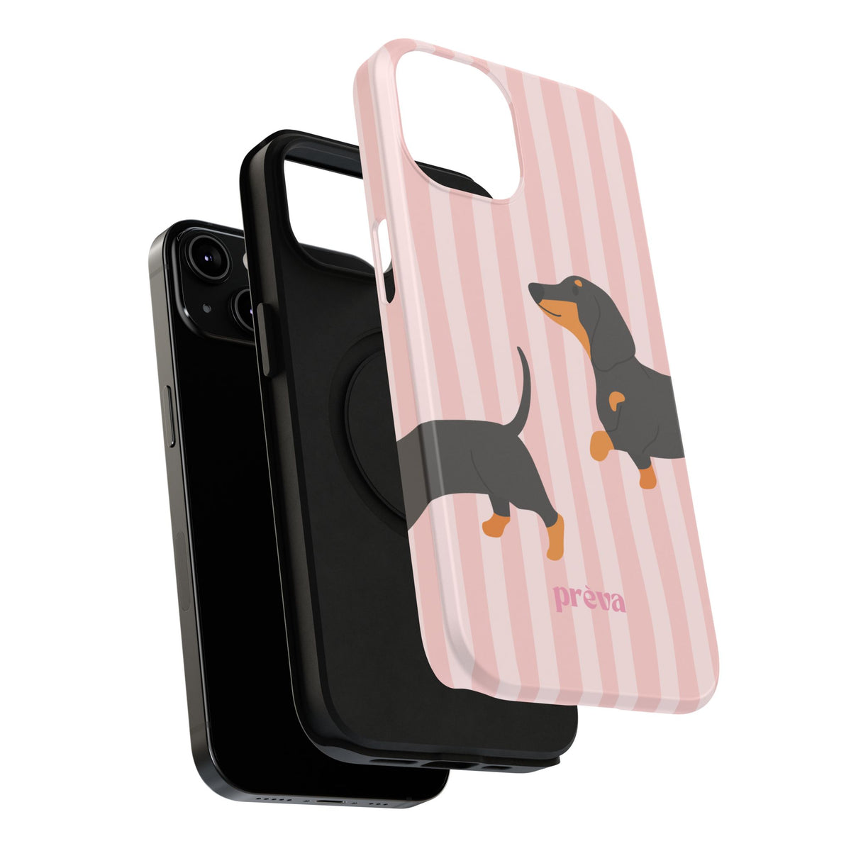 Dachshund Pink Stripes