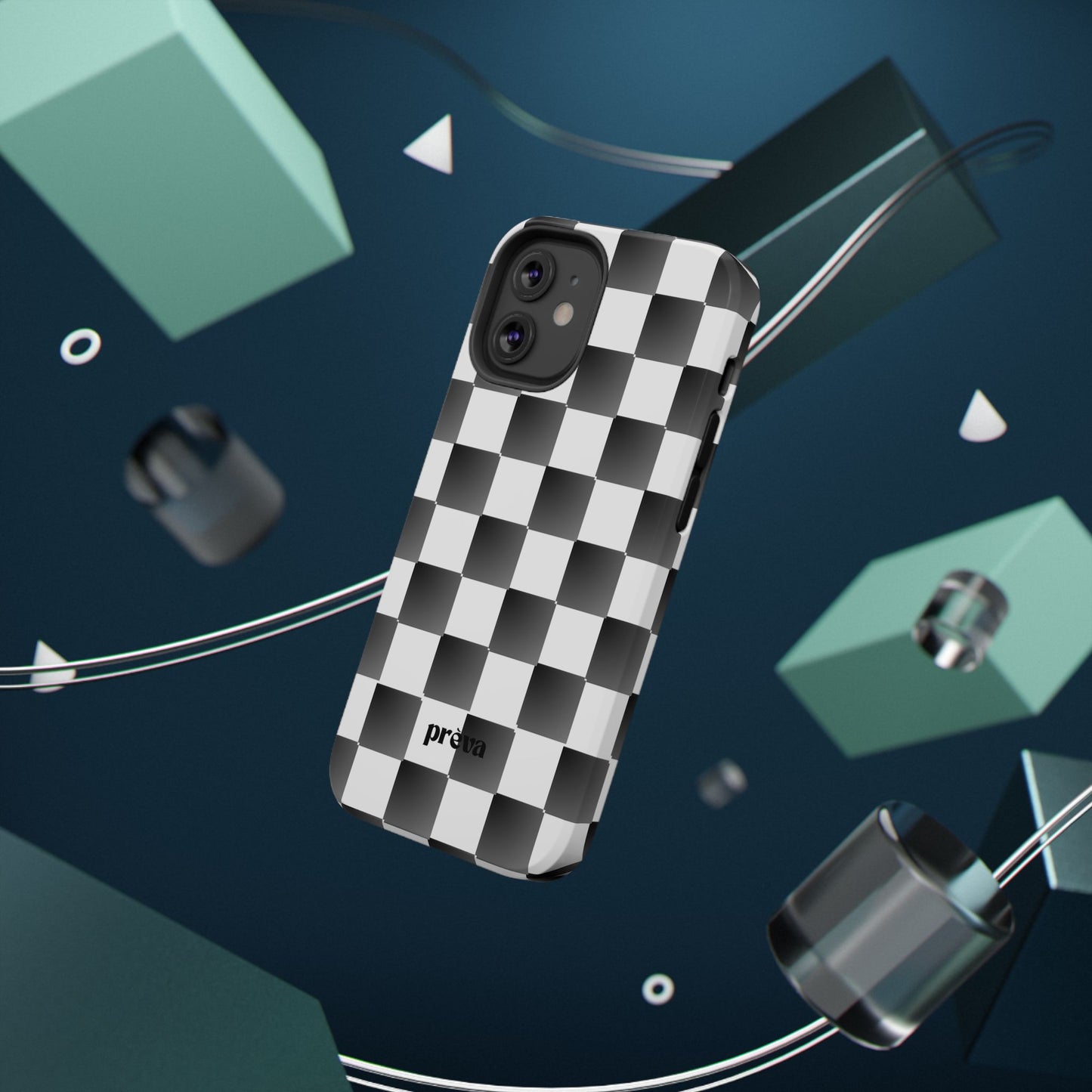 B&W Checkers Case