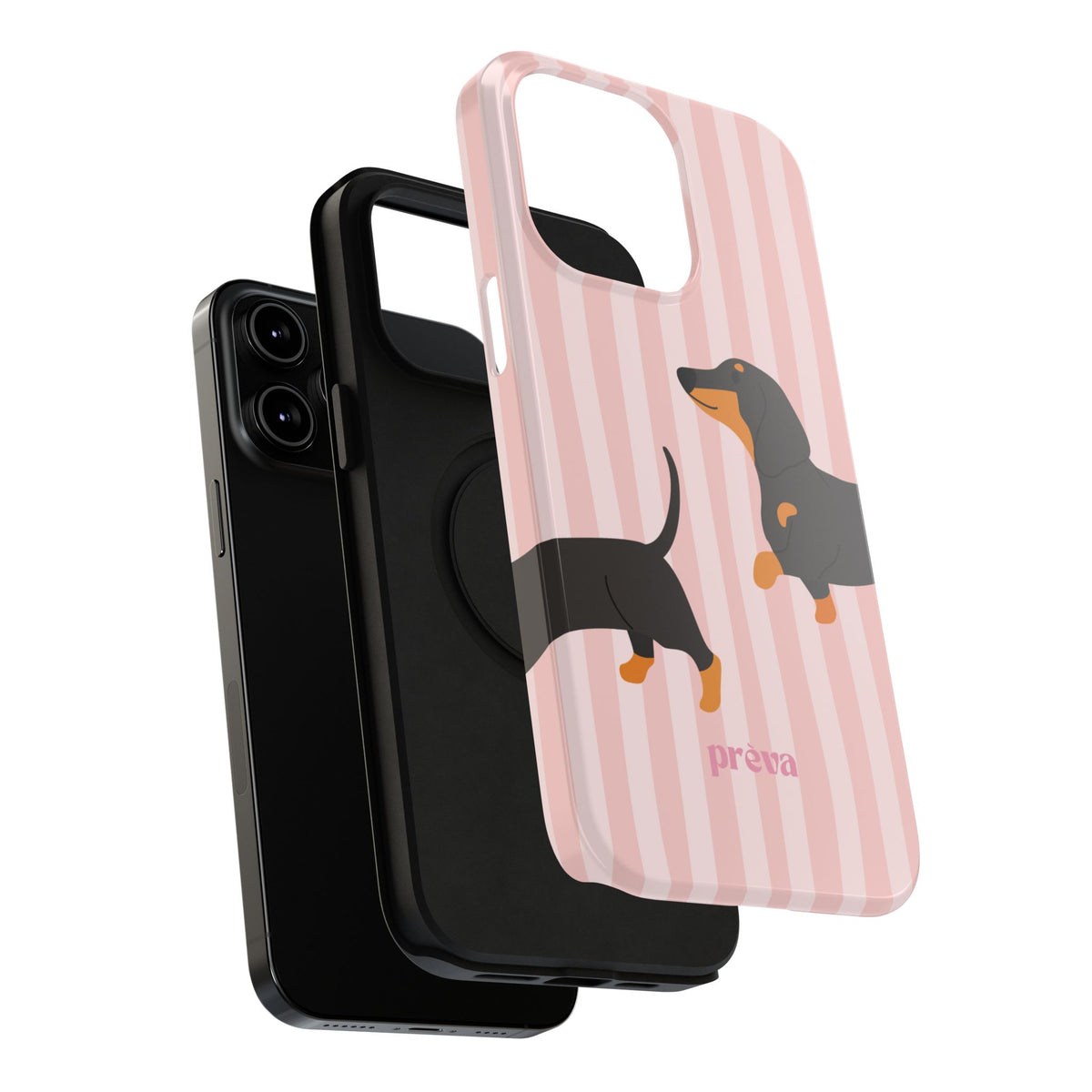 Dachshund Pink Stripes