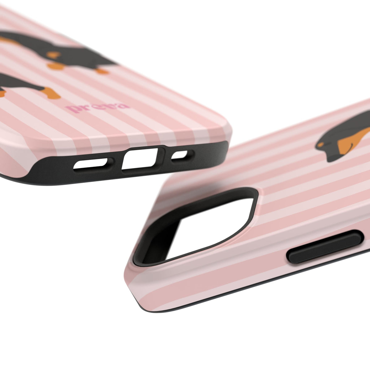 Dachshund Pink Stripes