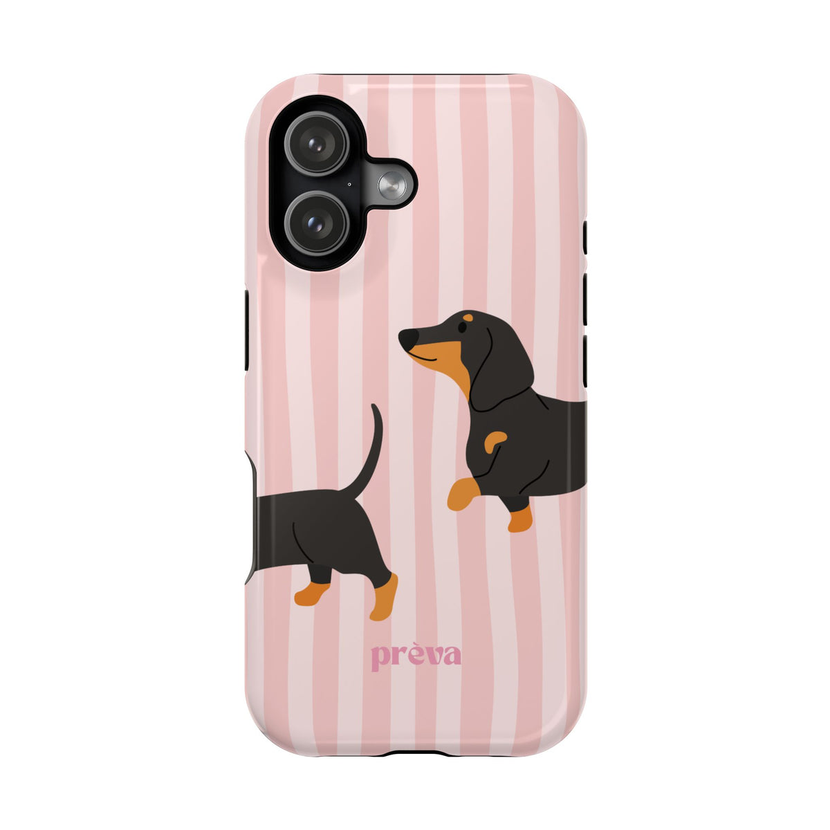Dachshund Pink Stripes