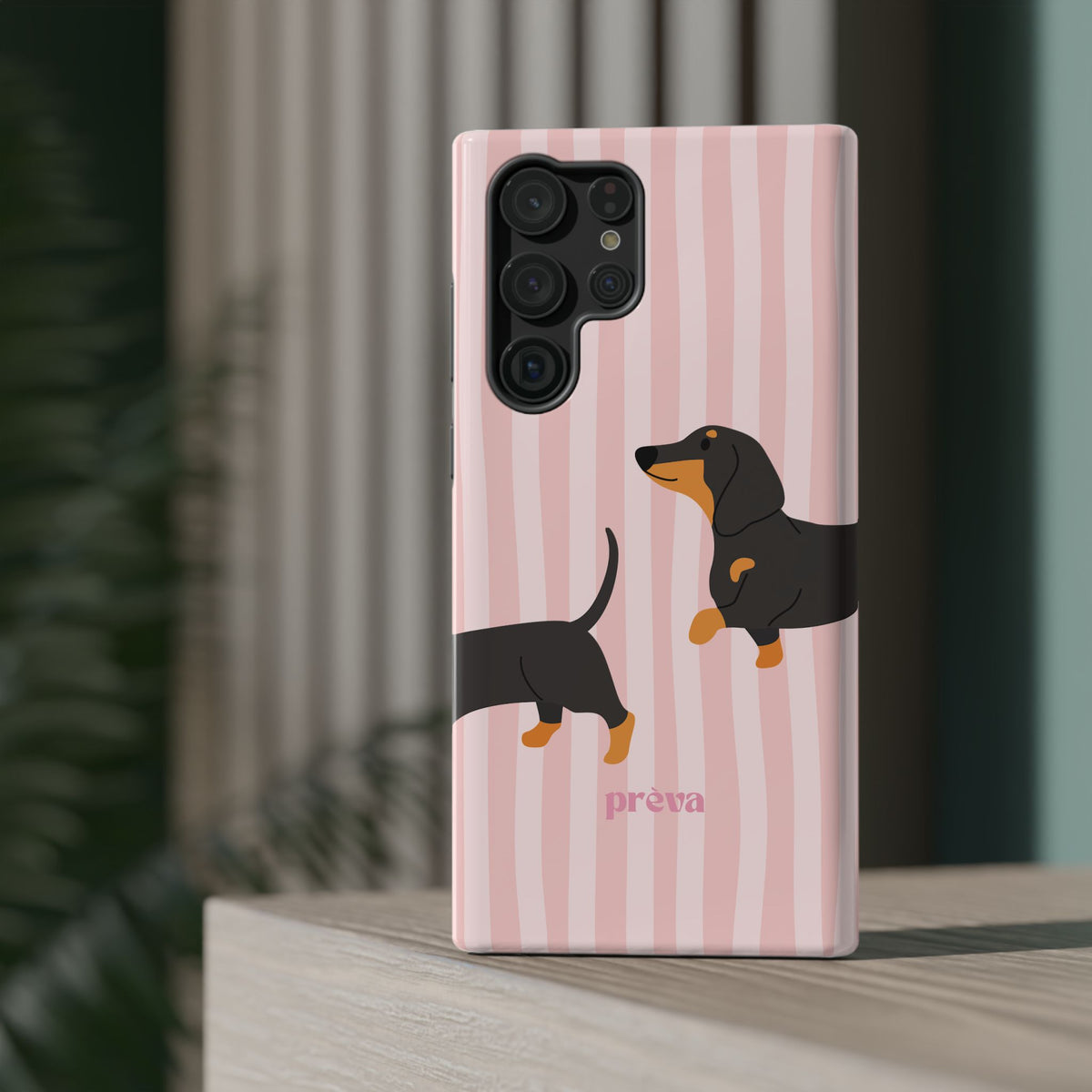 Dachshund Pink Stripes