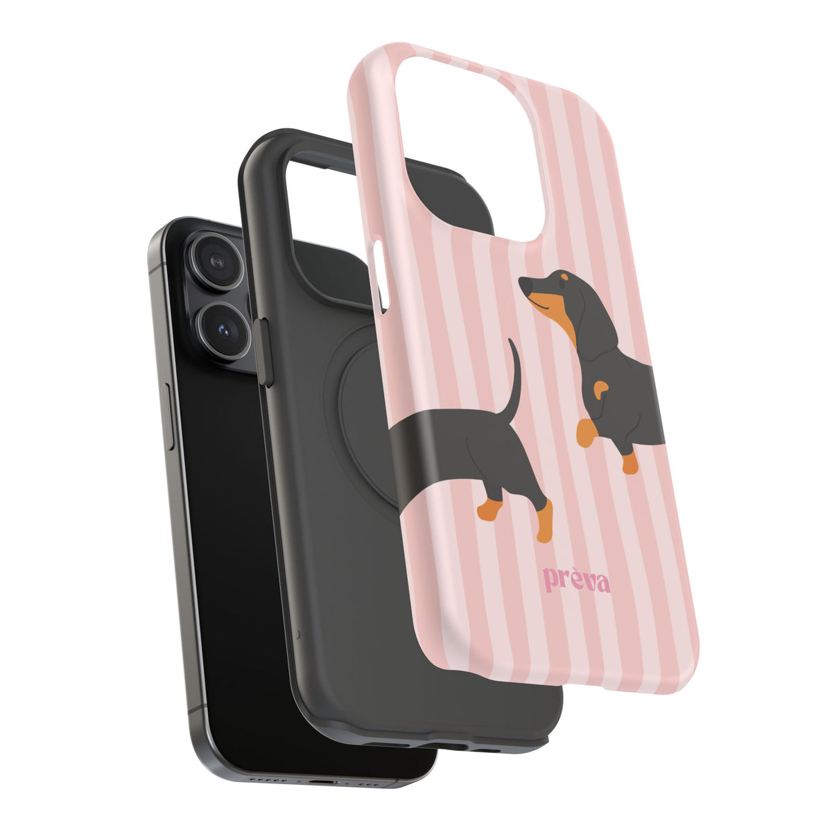 Dachshund Pink Stripes