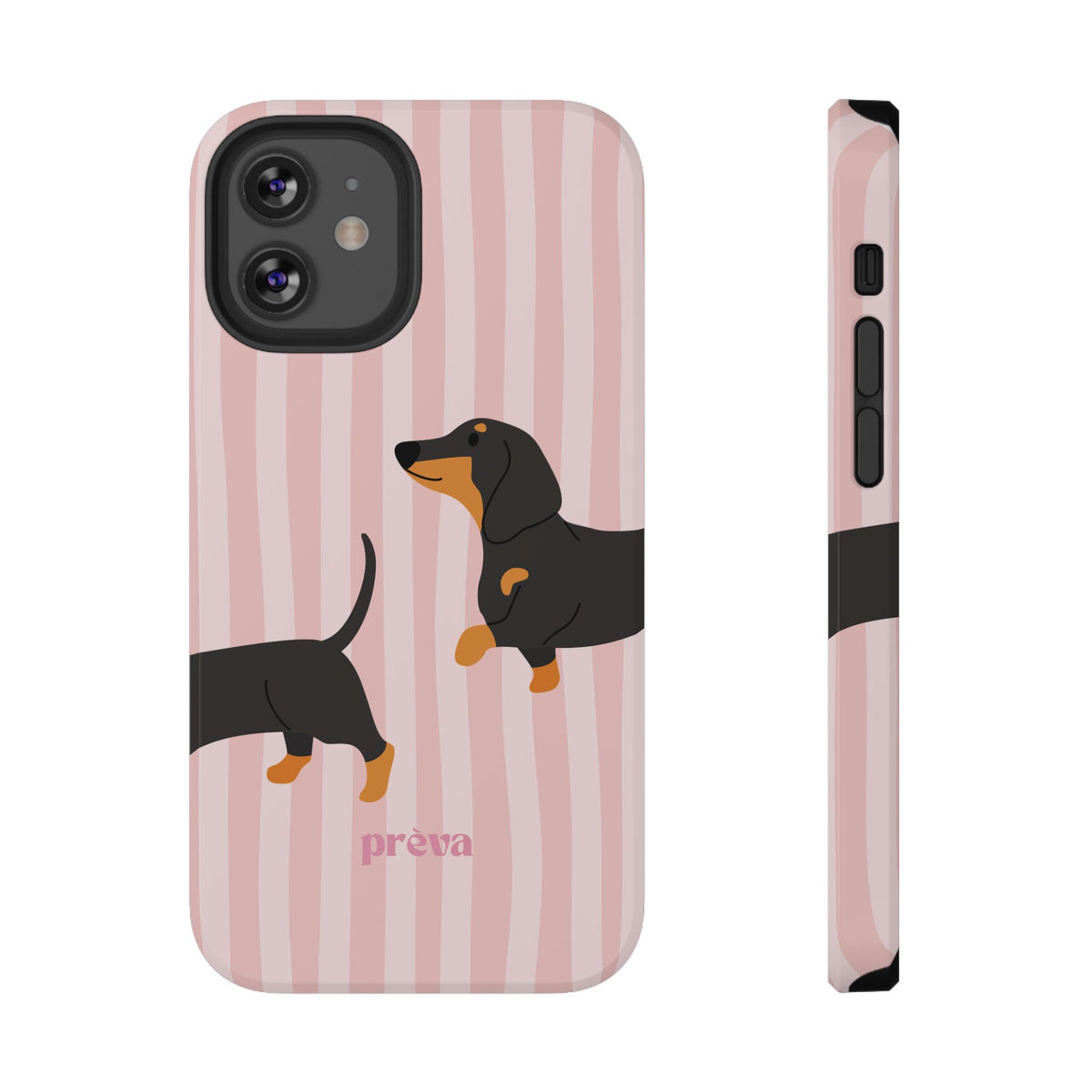 Dachshund Pink Stripes
