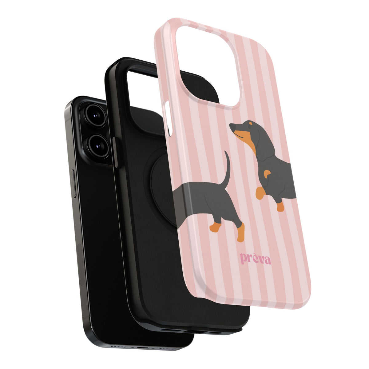 Dachshund Pink Stripes