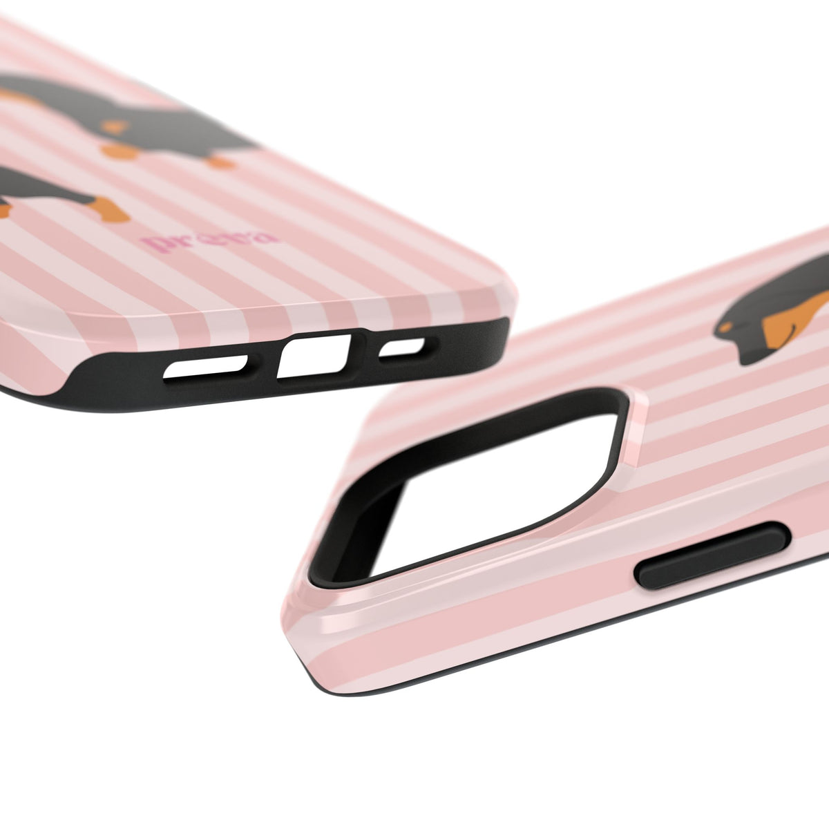 Dachshund Pink Stripes