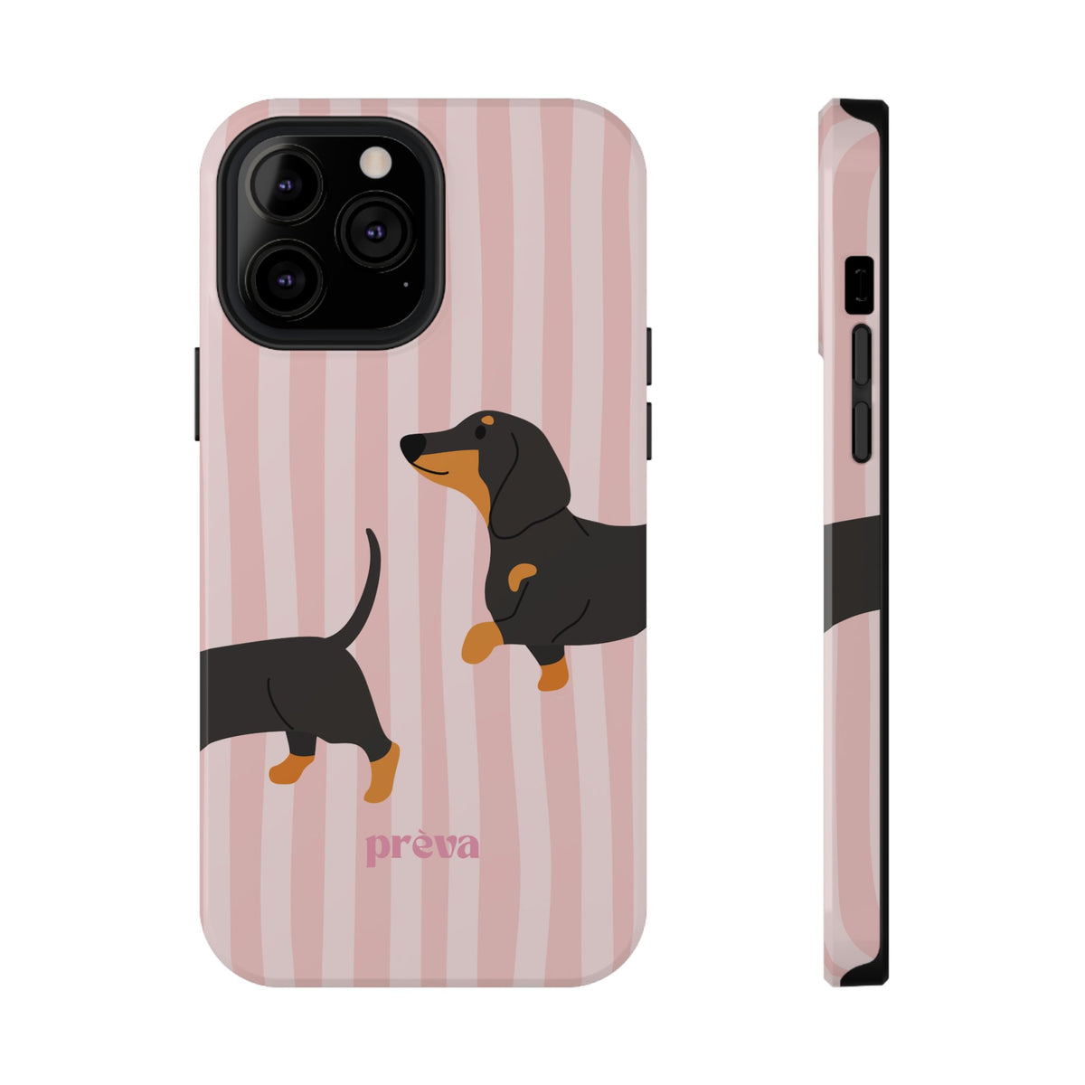 Dachshund Pink Stripes