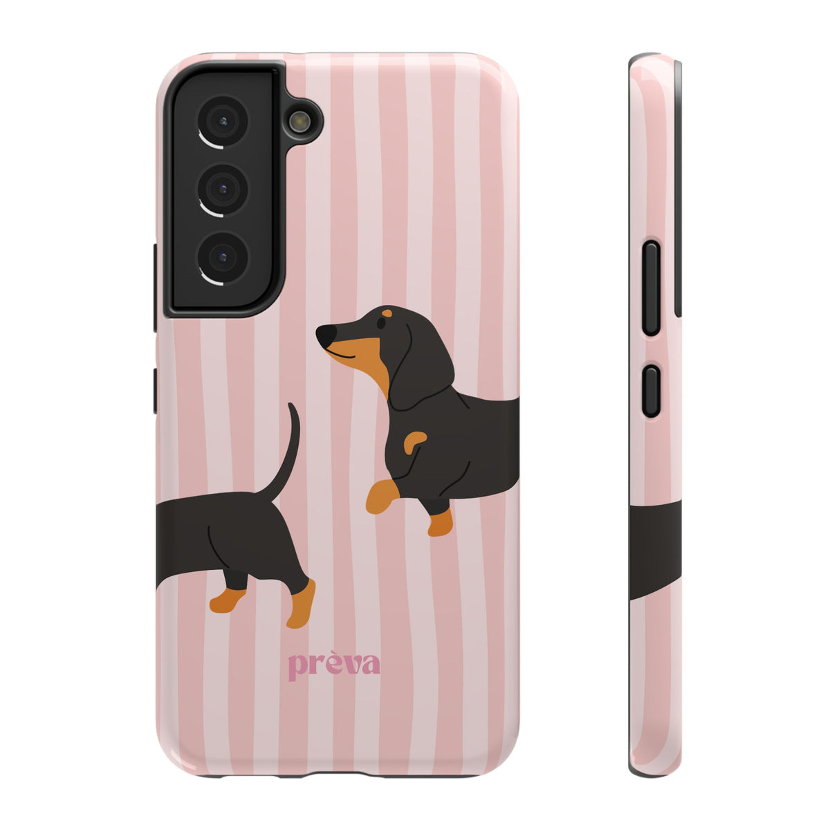 Dachshund Pink Stripes