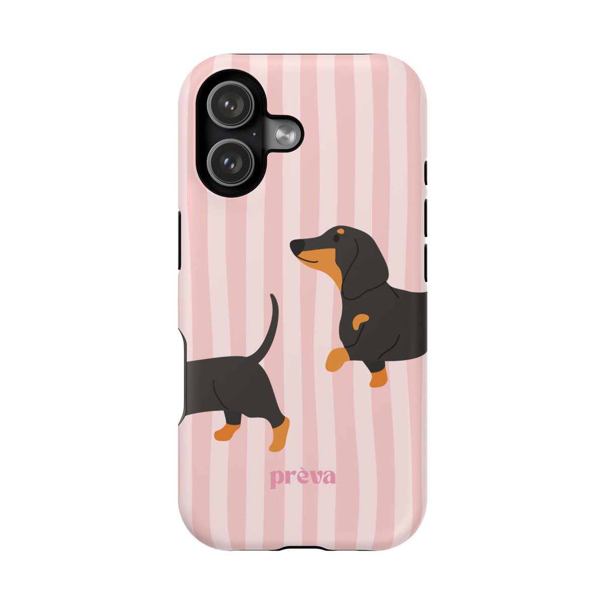 Dachshund Pink Stripes