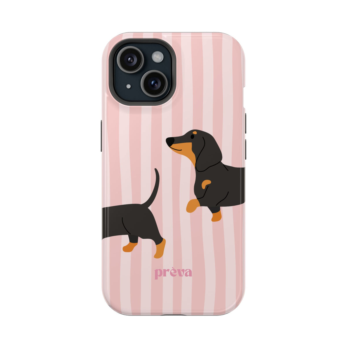 Dachshund Pink Stripes