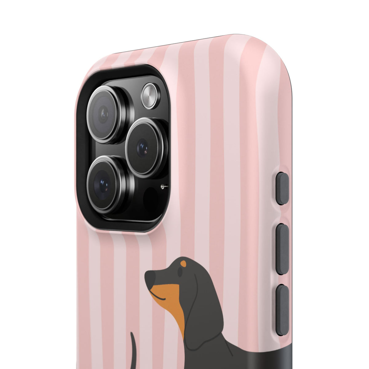 Dachshund Pink Stripes