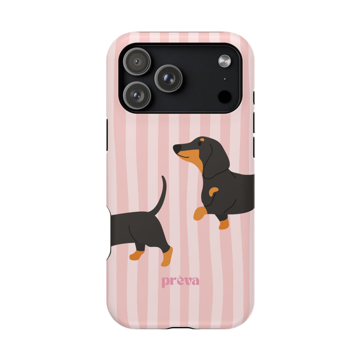 Dachshund Pink Stripes