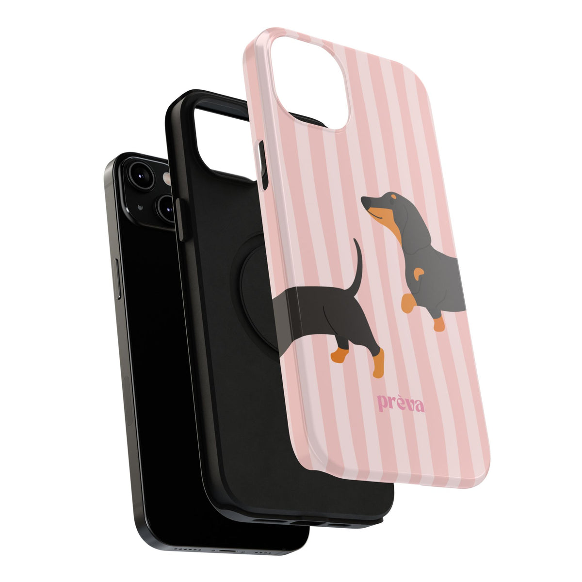 Dachshund Pink Stripes