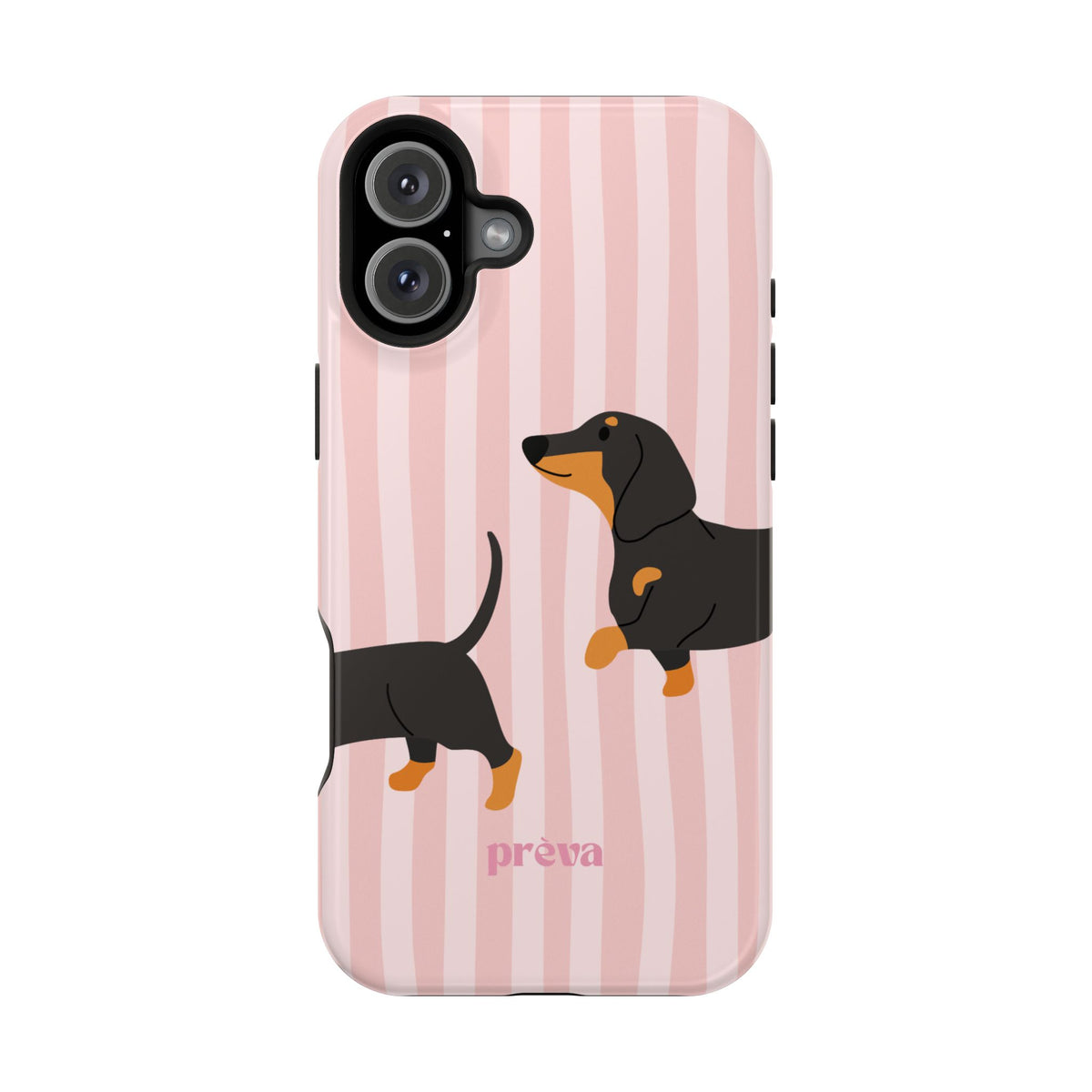 Dachshund Pink Stripes