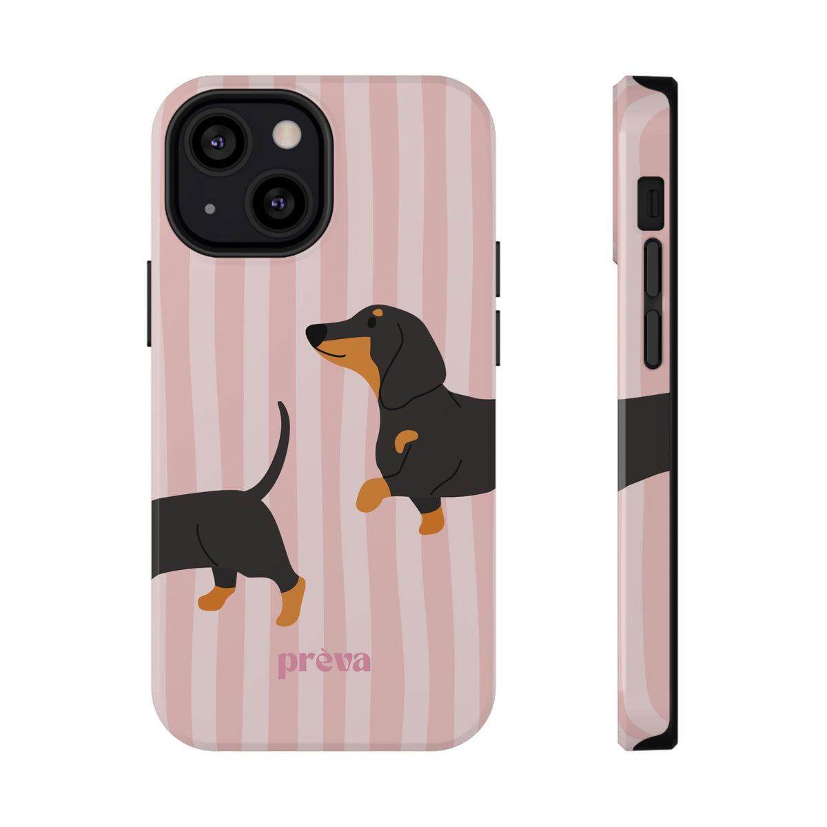 Dachshund Pink Stripes
