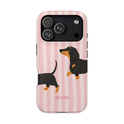 Dachshund Pink Stripes