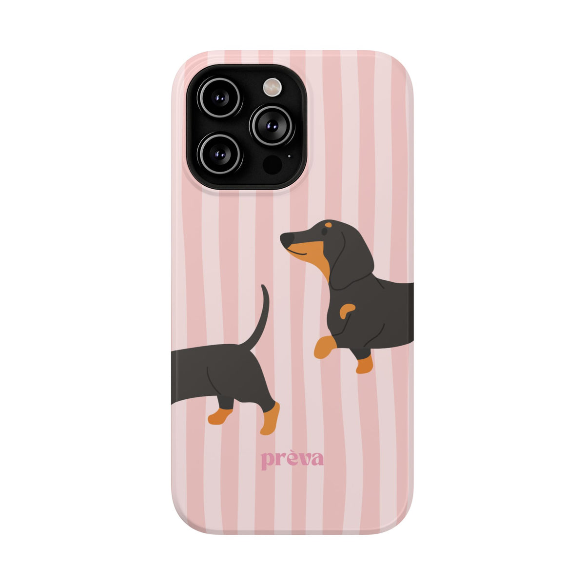 Dachshund Pink Stripes