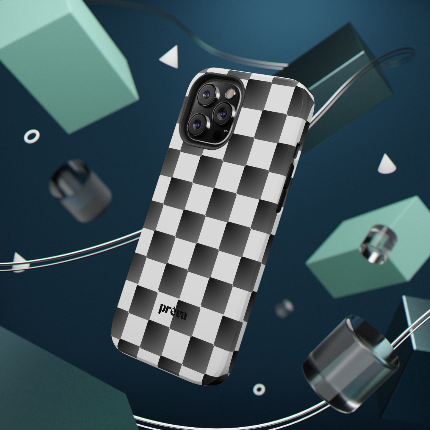 B&W Checkers Case